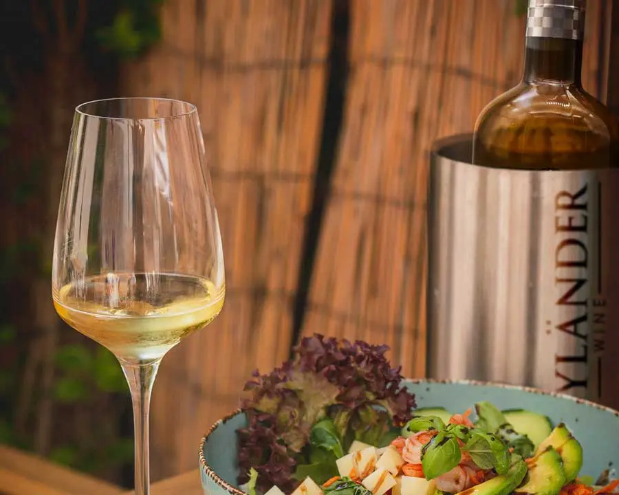 Riesling-and-Asian-Salad-lr