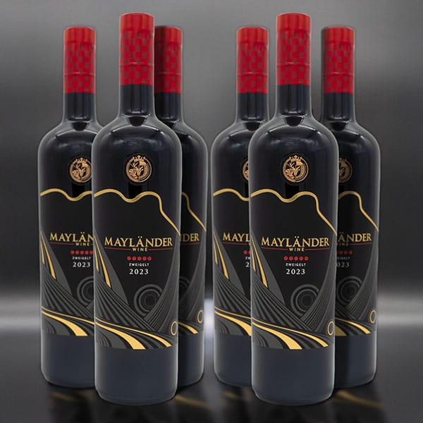 6 bottles - case - First Release | 2025 Formula Season - Bernd Mayländer Zweigelt Red Wine 2023